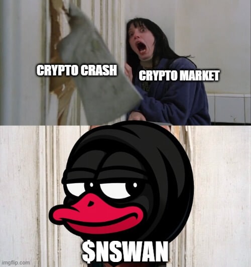 Meme 6